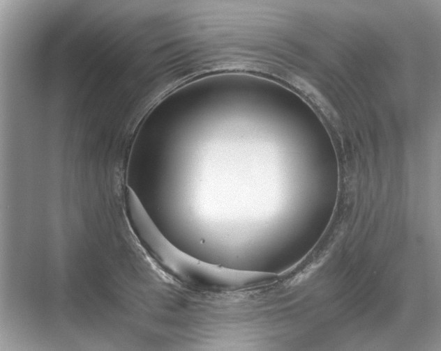 X0000071350993200606301647