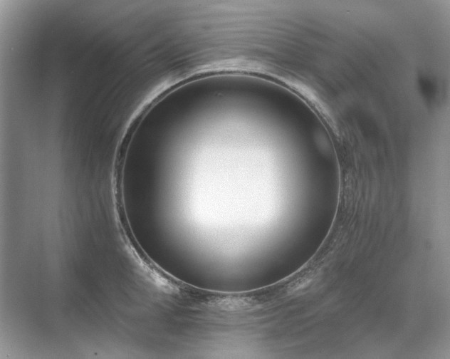 X0000071350998200606301647