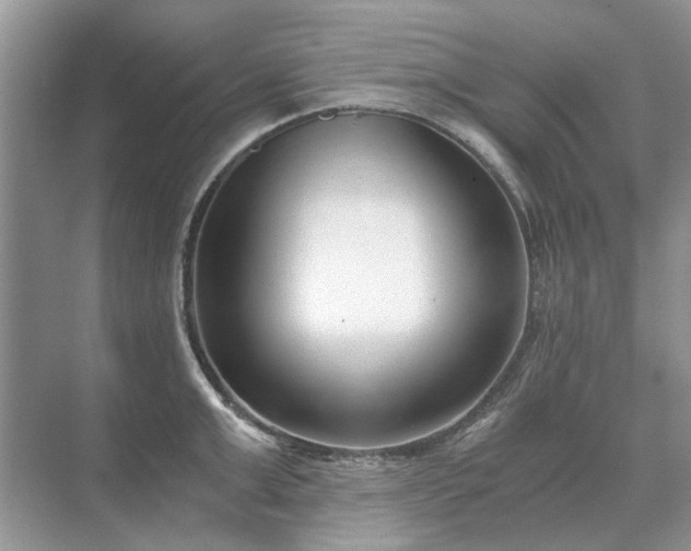 X0000071350999200606301647