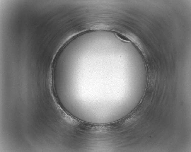 X0000071351000200606301647