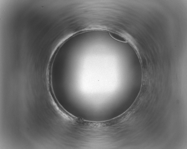 X0000071351003200606301647