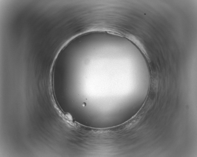 X0000071351004200606301647