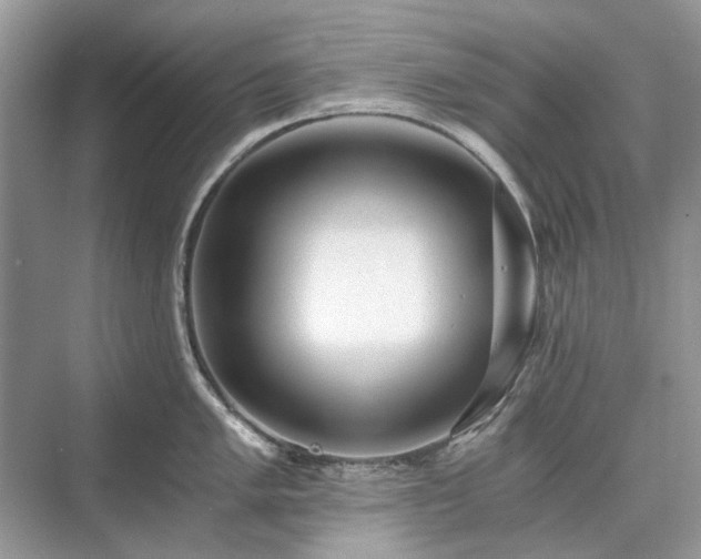 X0000071351005200606301647