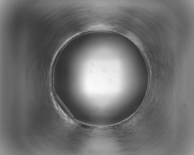 X0000071351008200606301647