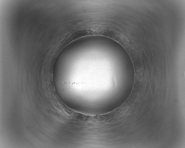 X0000071351009200606301646