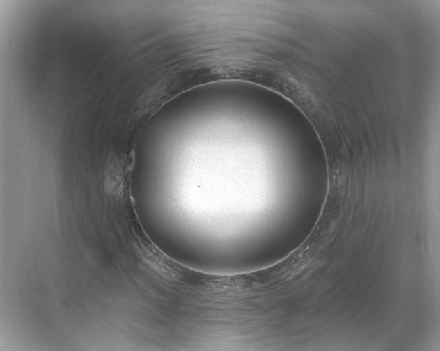 X0000071351012200606301646