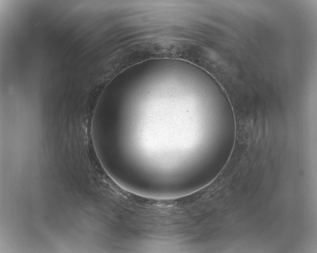 X0000071351013200606301646