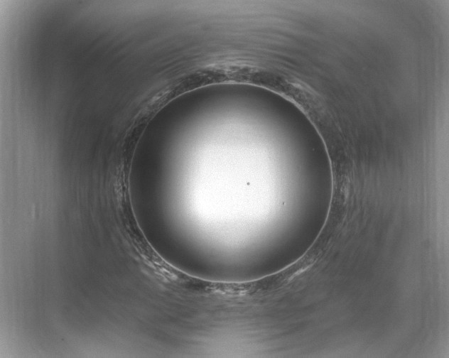 X0000071351014200606301647