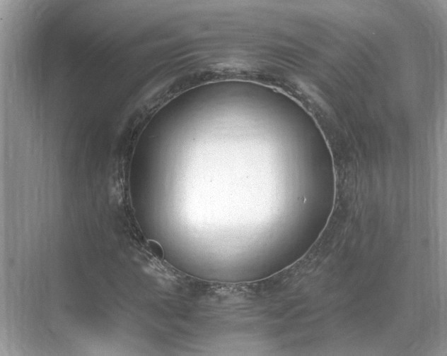 X0000071351015200606301647