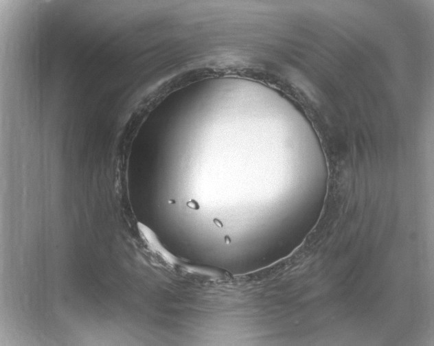 X0000071351016200606301647