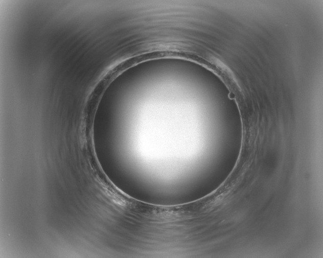 X0000071351019200606301647