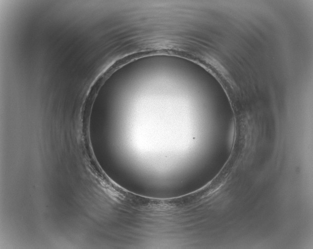 X0000071351023200606301647