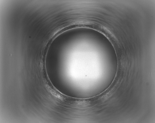 X0000071351025200606301647