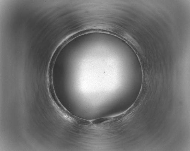 X0000071351028200606301647