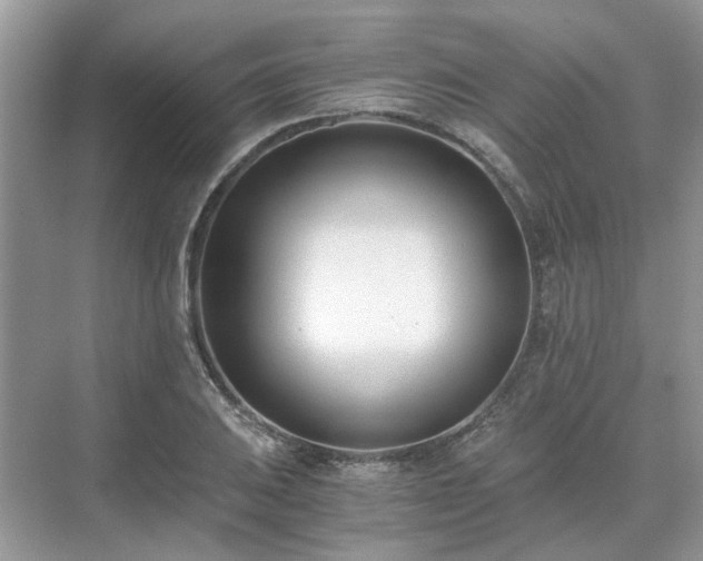 X0000071351031200606301647