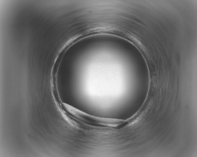 X0000071351034200606301647