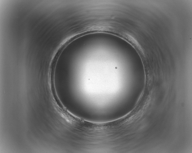 X0000071351035200606301647