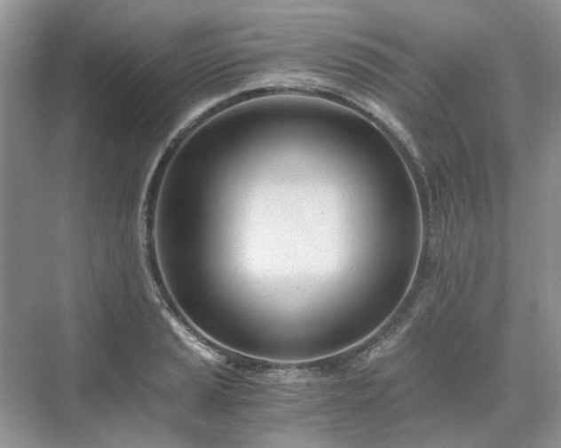 X0000071351037200606301647