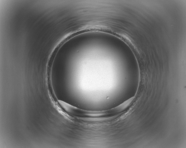 X0000071351038200606301647