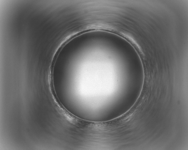 X0000071351040200606301647