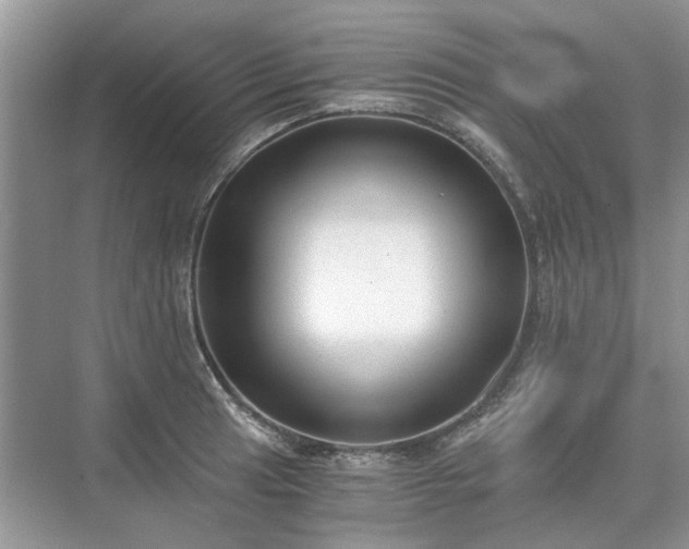 X0000071351041200606301647