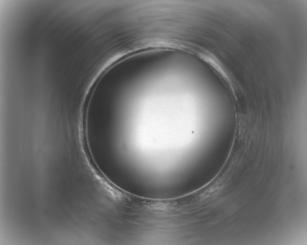 X0000071351048200606301647