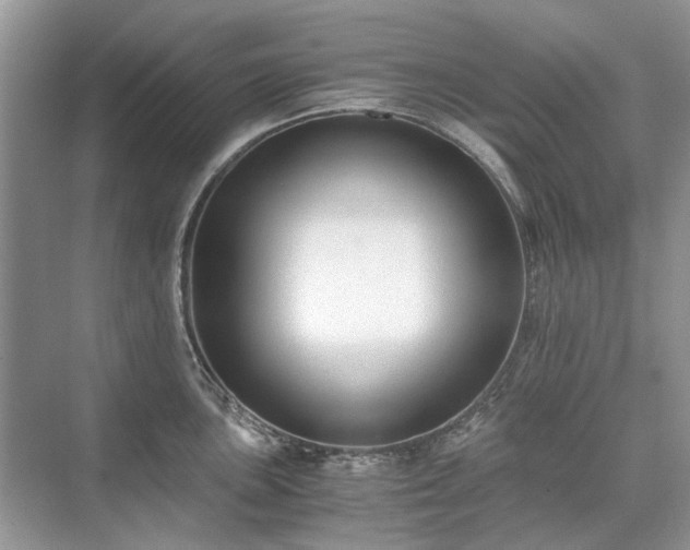 X0000071351051200606301647