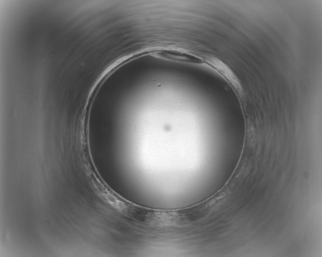 X0000071351052200606301647