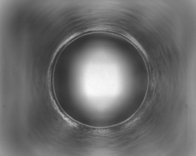 X0000071351053200606301647