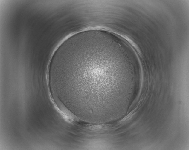 X0000071351054200606301647