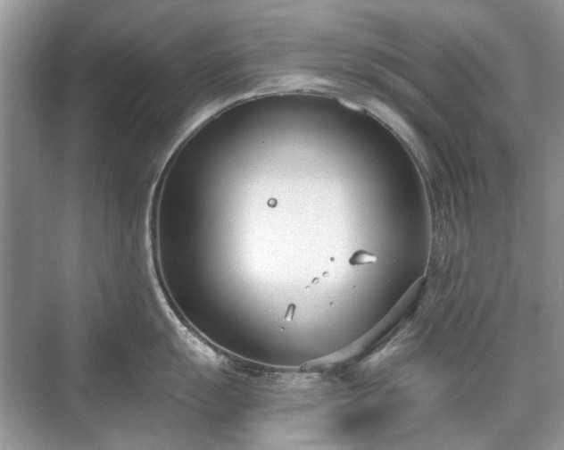 X0000071351055200606301647