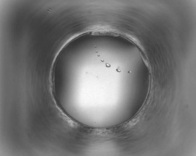 X0000071351056200606301647