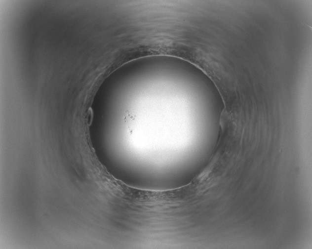 X0000071351057200606301646