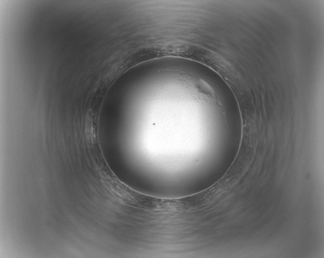 X0000071351058200606301646