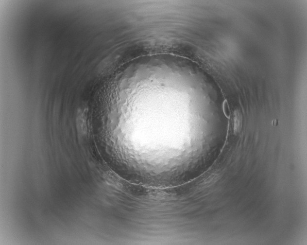 X0000071351059200606301646