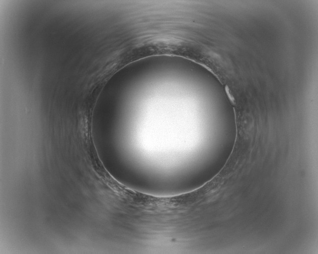 X0000071351061200606301646