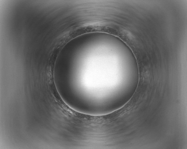 X0000071351062200606301646