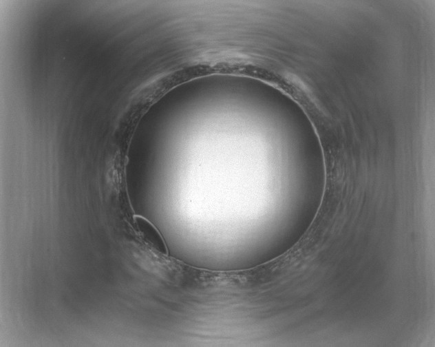 X0000071351063200606301646