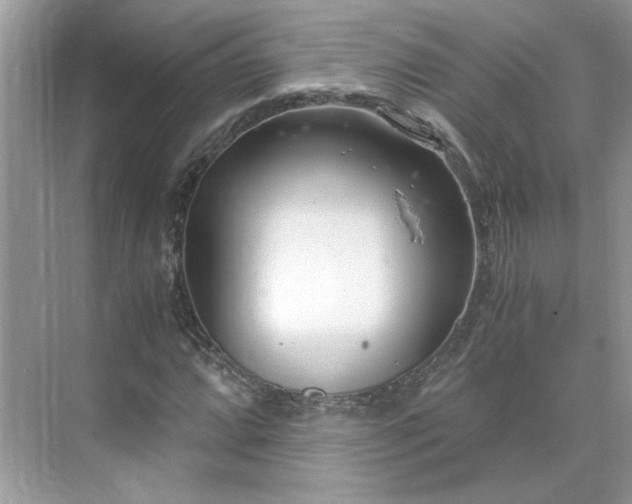 X0000071351064200606301646