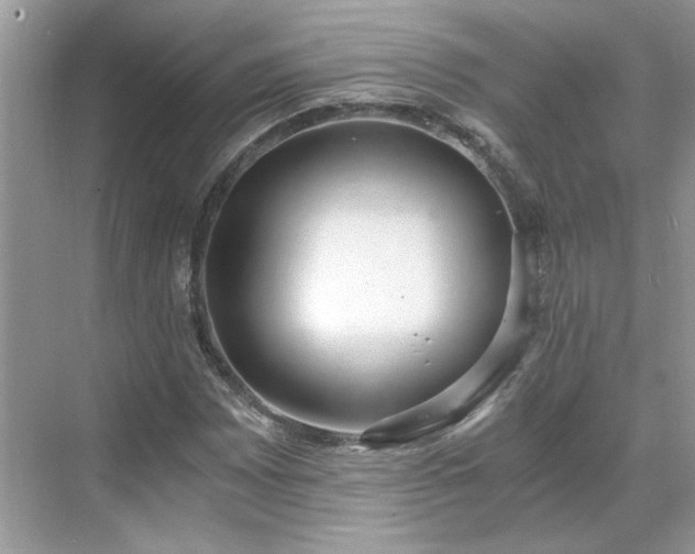 X0000071351065200606301646