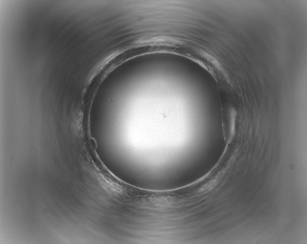 X0000071351066200606301646