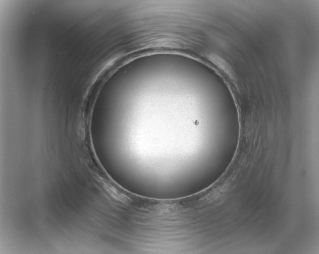 X0000071351067200606301646