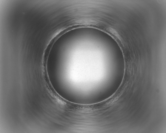 X0000071351071200606301646