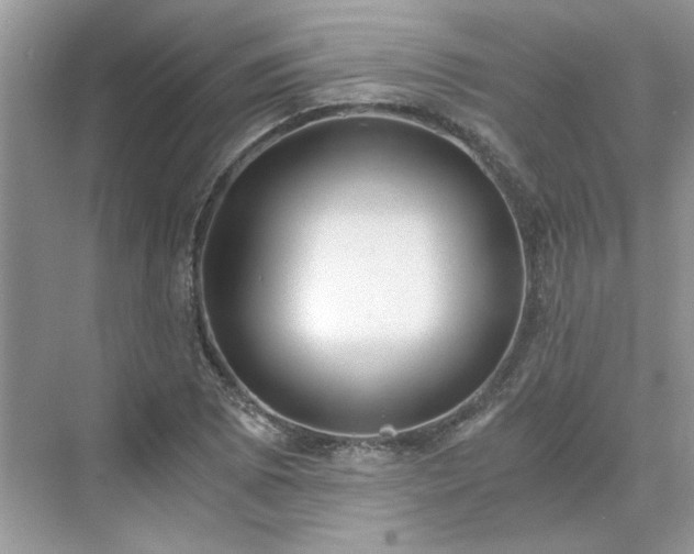 X0000071351073200606301646