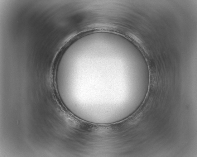 X0000071351074200606301646