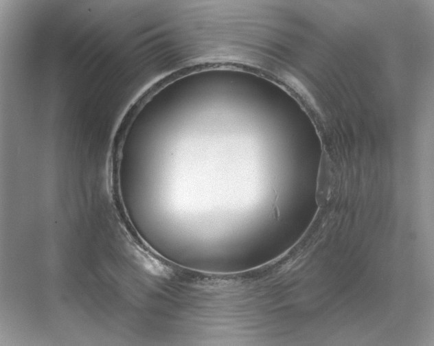 X0000071351076200606301646