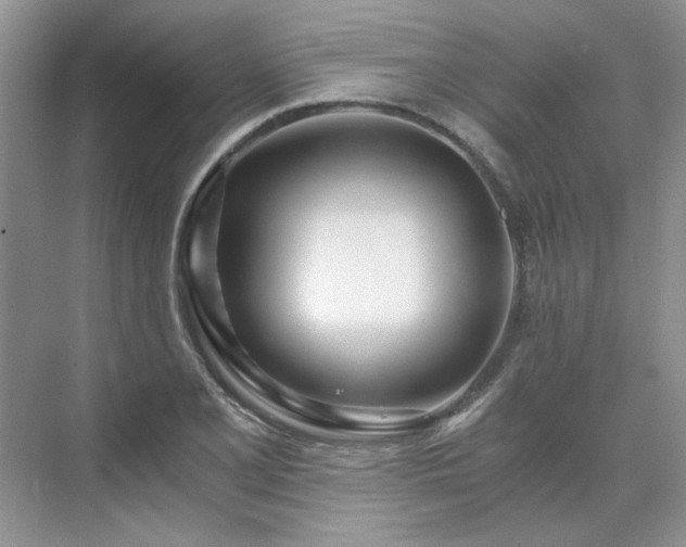 X0000071351077200606301646