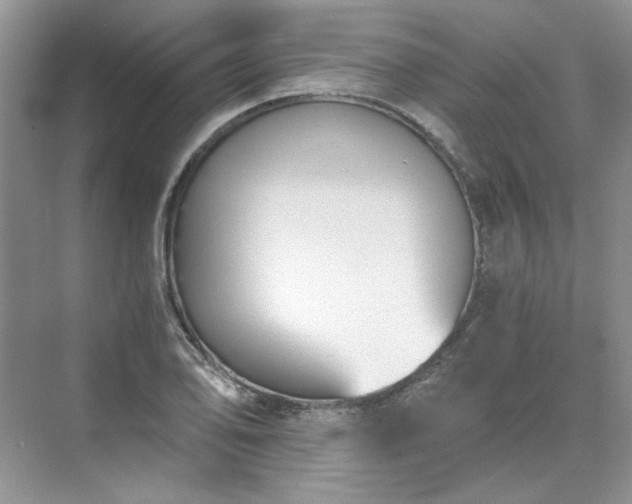 X0000071351078200606301646