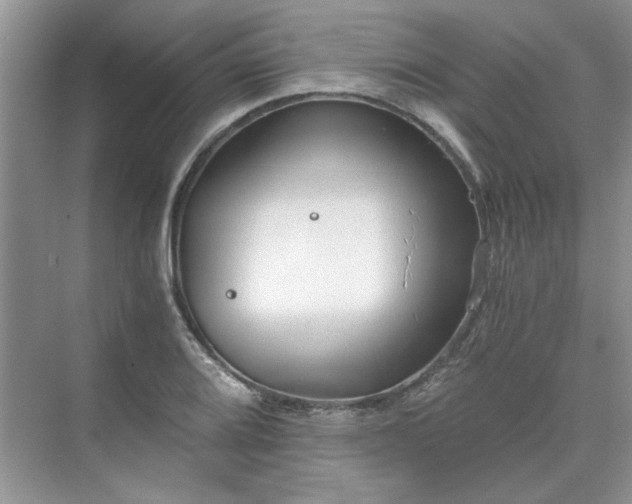 X0000071351080200606301646