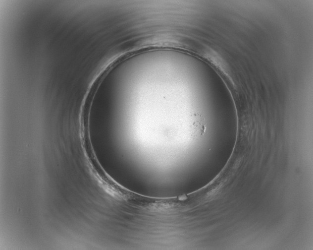 X0000071351082200606301646